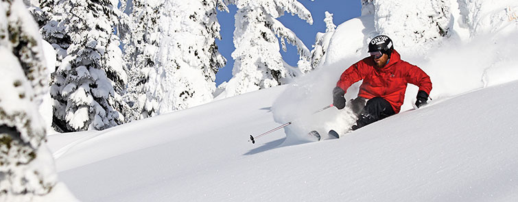 skiier in powder